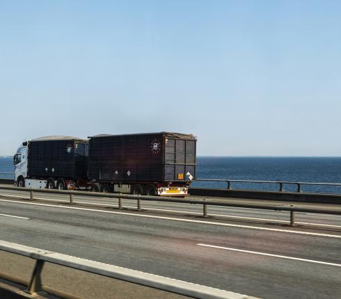 Selvstændige vognmænd sidestilles med overenskomstansatte